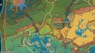 Route #2 for farming Sprayfeather Gill (Image via HoYoverse)